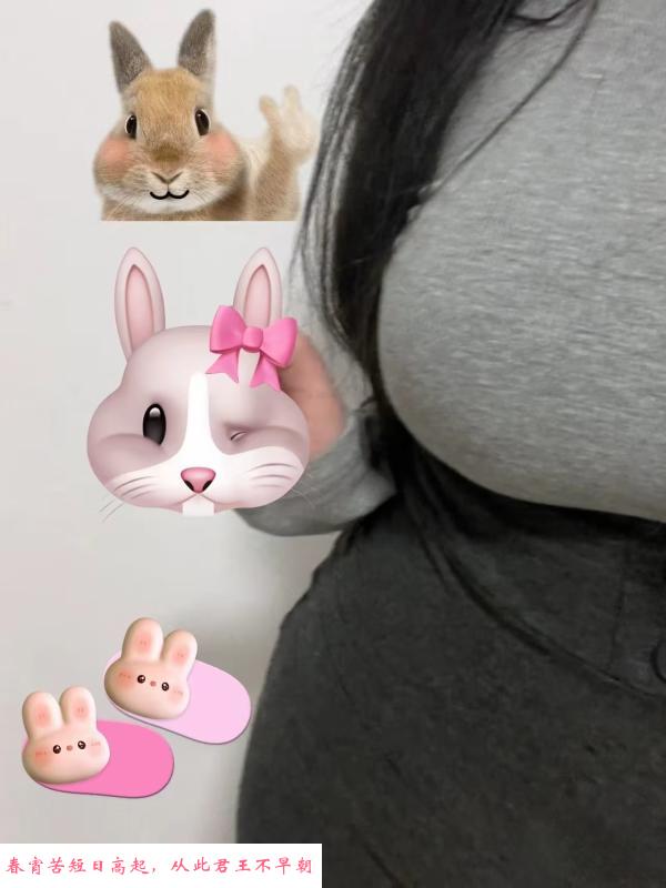 大熊小团子 第3张